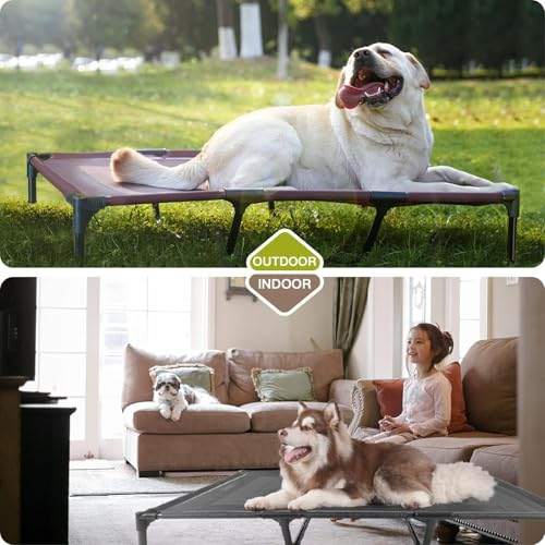 Elevated Dog Bed with Metal Frame, X-Large Grey O8317