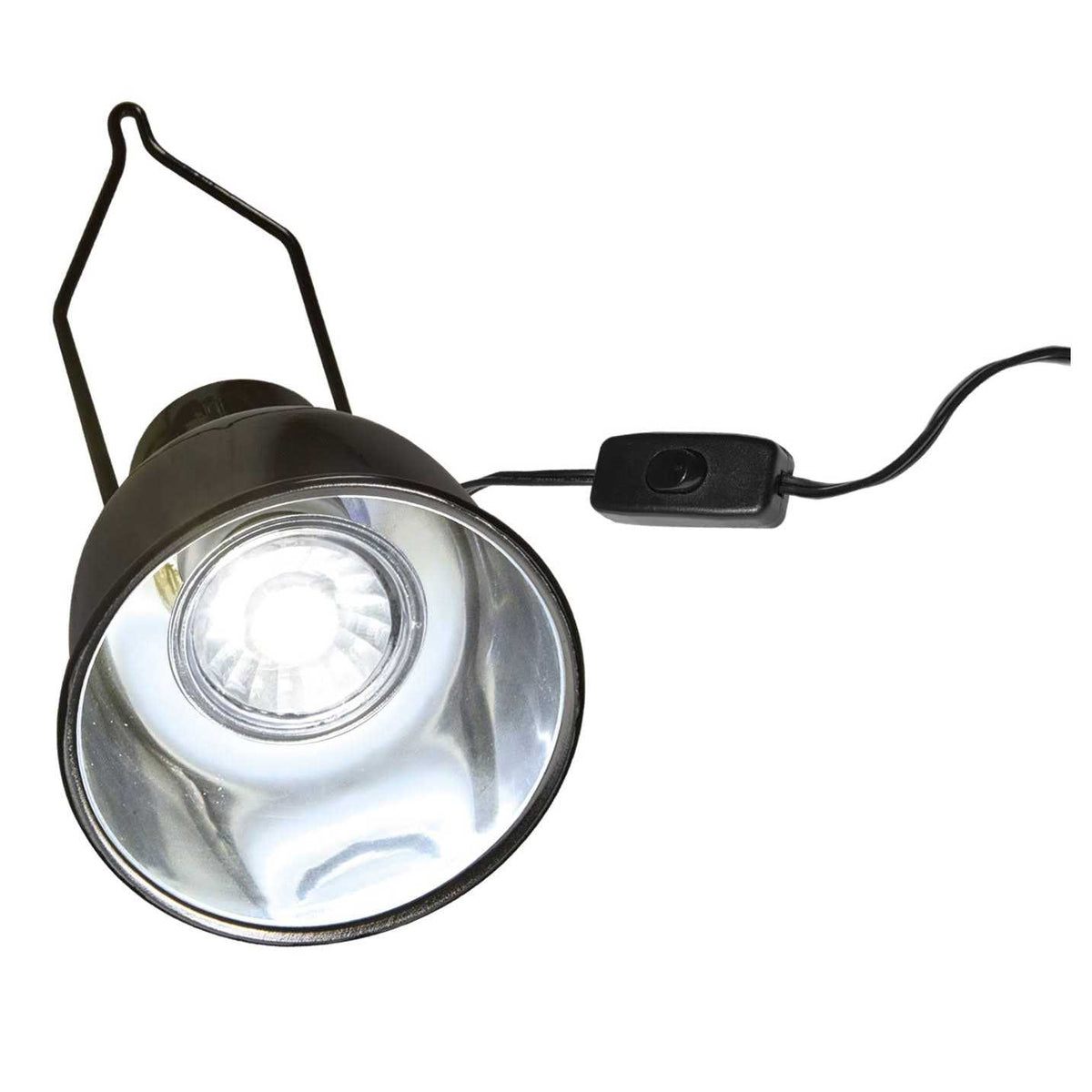 Dome Lamp Fixture Z4712