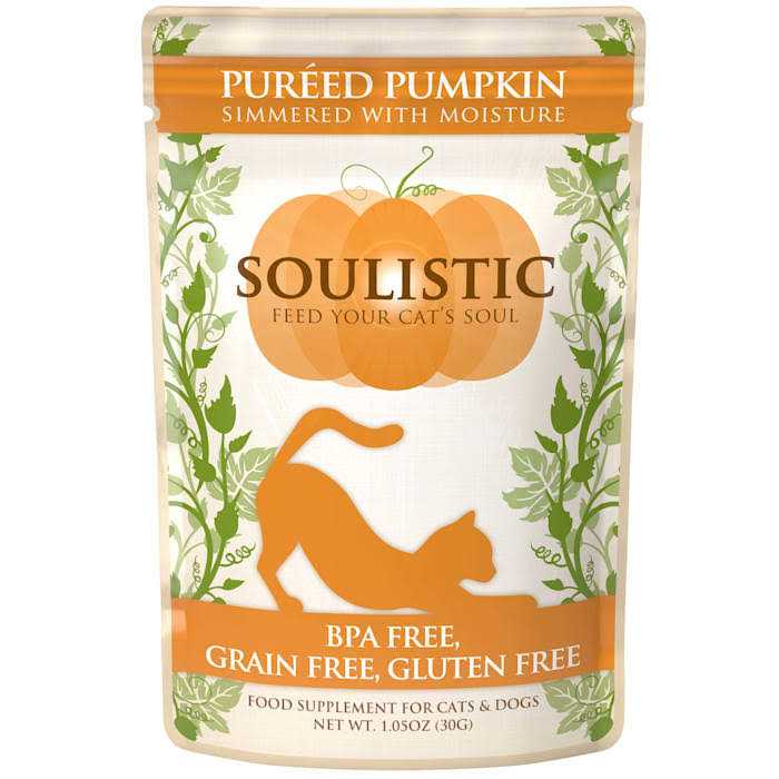 Pureed Pumpkin Food Supplement for Cats & Dogs V833