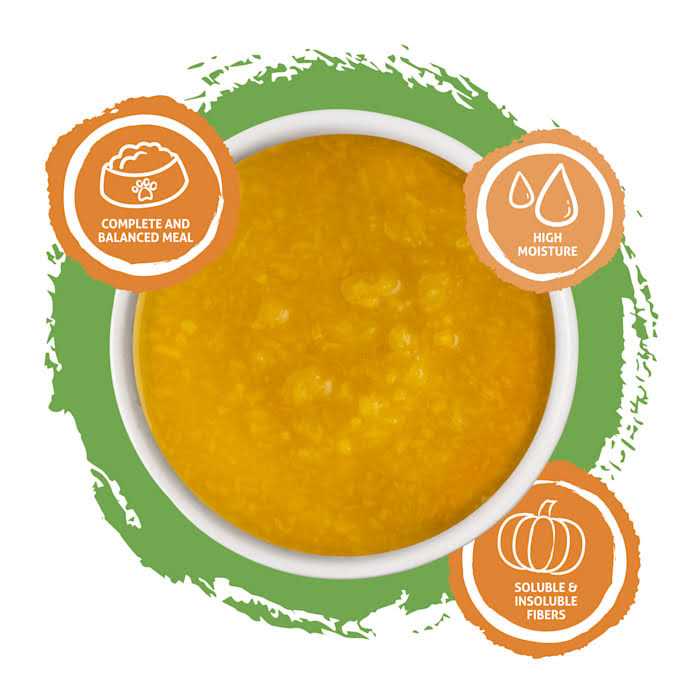 Pureed Pumpkin Food Supplement for Cats & Dogs V833