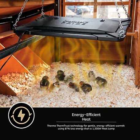 Chicken Coop Brooder and Heater C68581