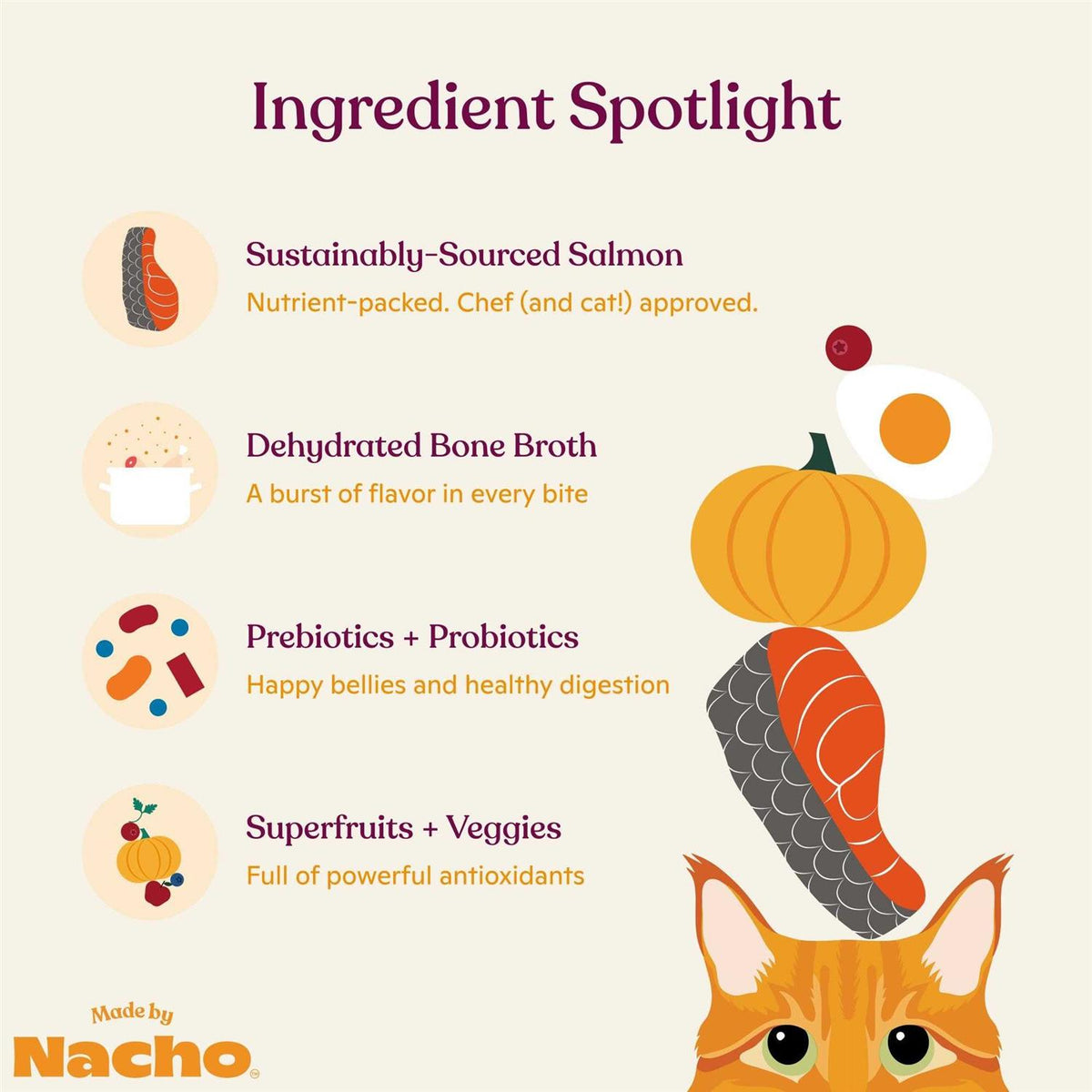 Salmon & Pumpkin Recipe Dry Cat Food N65956