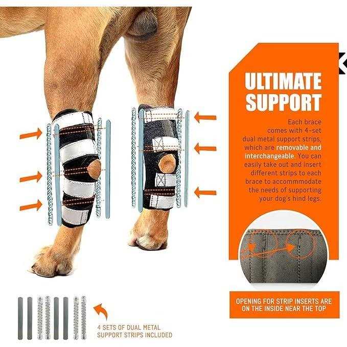 3-in-1 Long Rear Leg Support Dog Splint Braces B11838