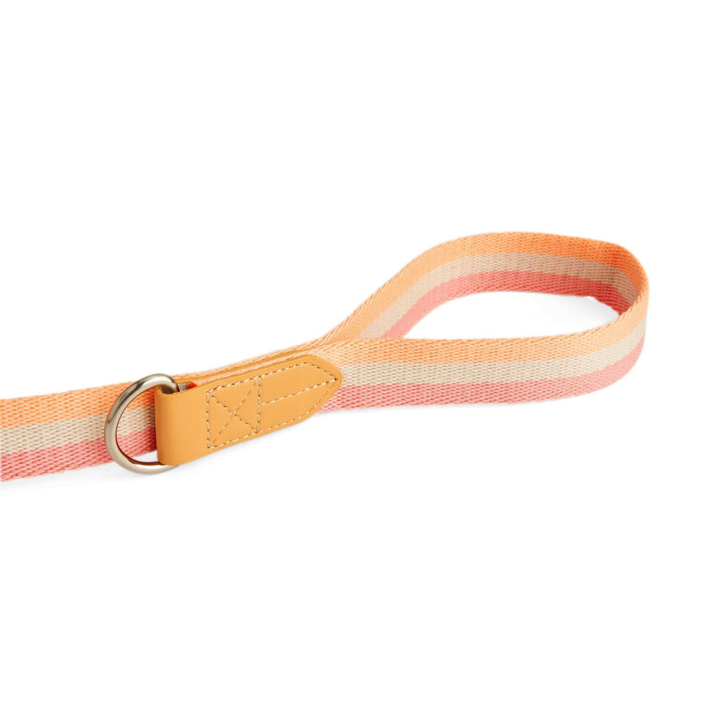 Dog Leash Y9423