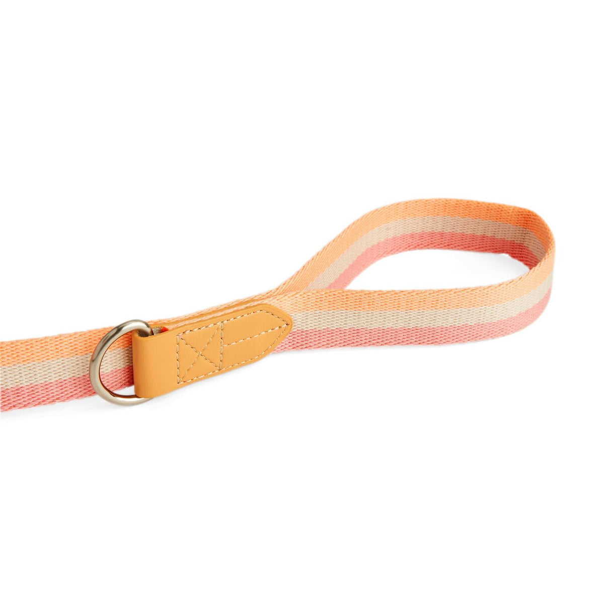 Dog Leash Y9423