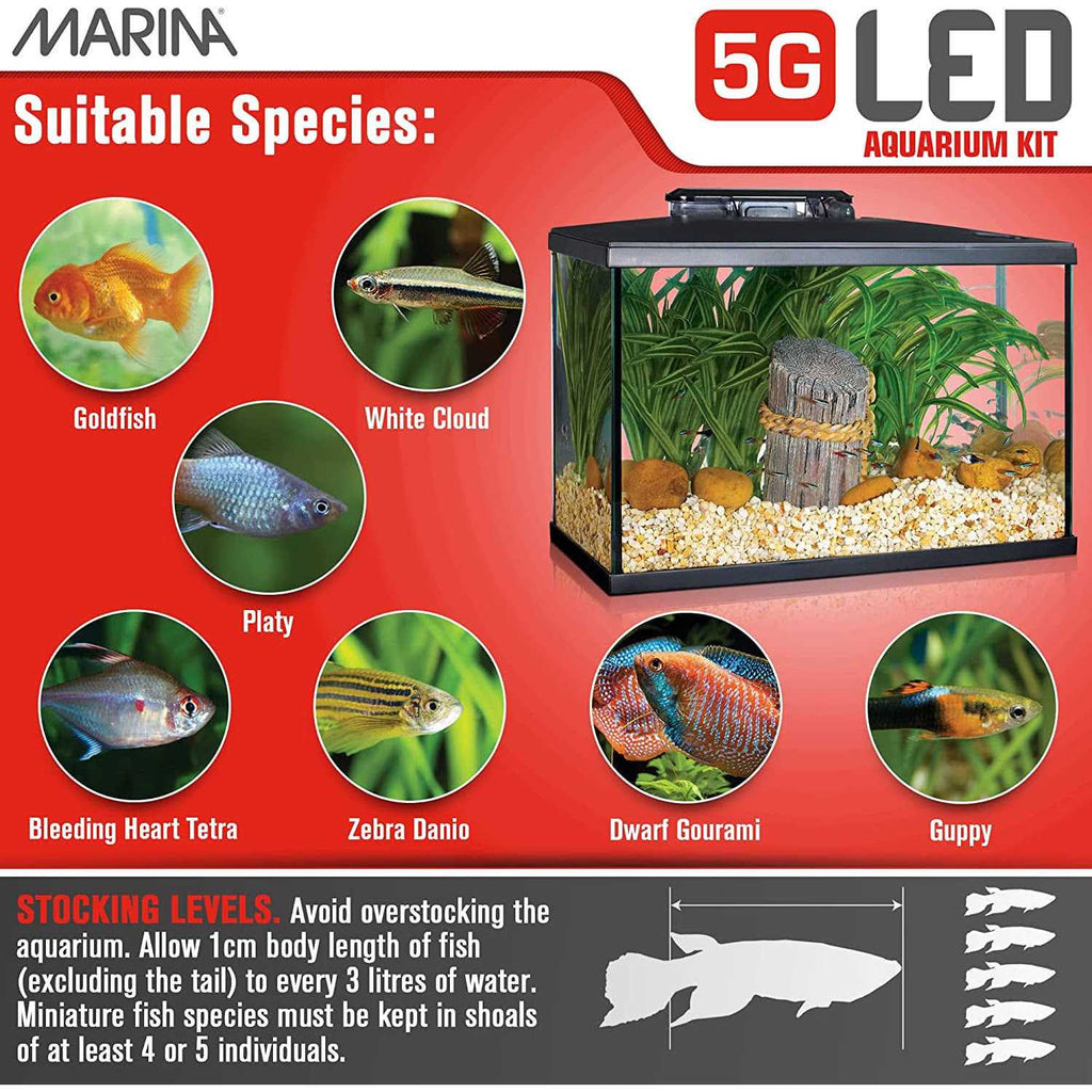 LED Glass Aquarium Kit R411