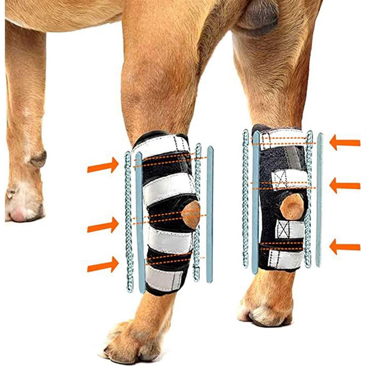3-in-1 Long Rear Leg Support Dog Splint Braces B11838