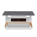 Mid-Century Glass Top Coffee Table S13004