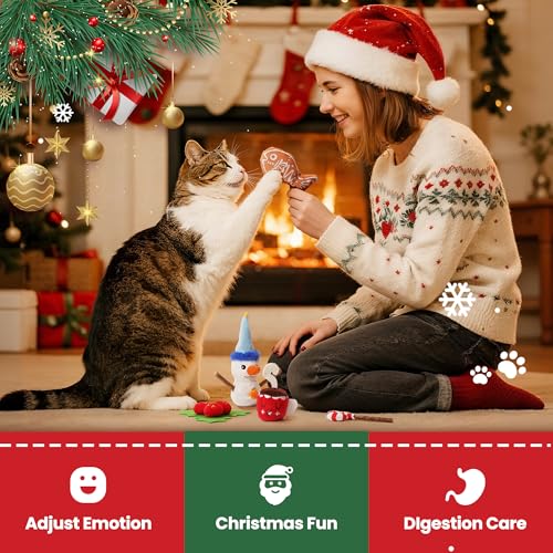 5 PCS Catnip Cat Chew Toys with Silvervine Sticks H638