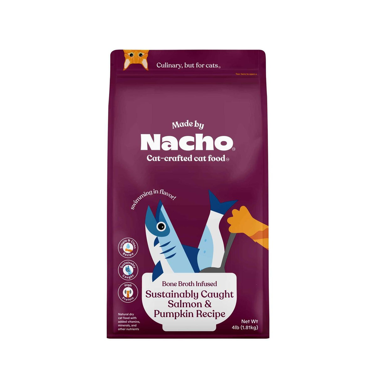 Salmon & Pumpkin Recipe Dry Cat Food N65956
