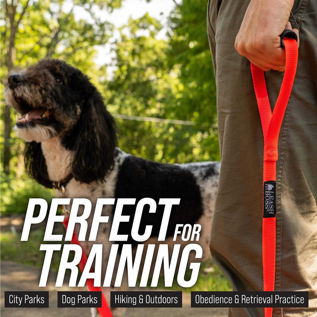 Dog Leash E81057