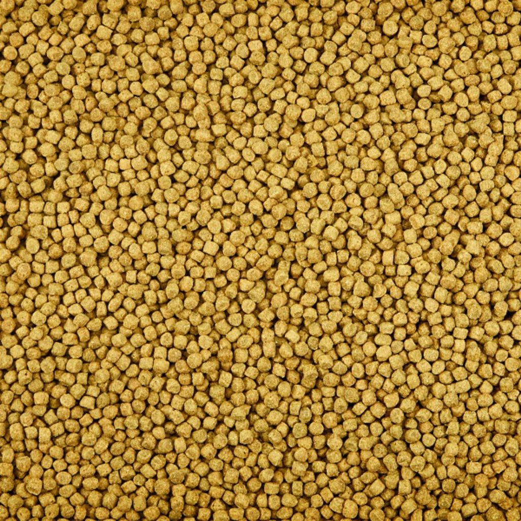 Koi's Choice Premium Fish Food K57212
