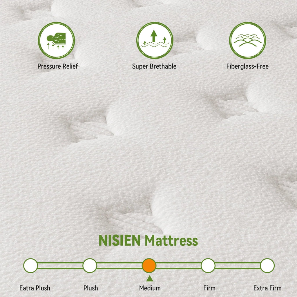 Queen 10 Inch Hybrid Memory Foam Mattress H4296