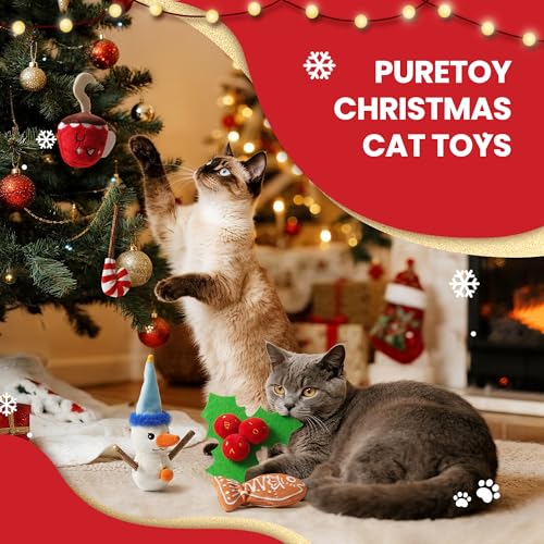 5 PCS Catnip Cat Chew Toys with Silvervine Sticks H638