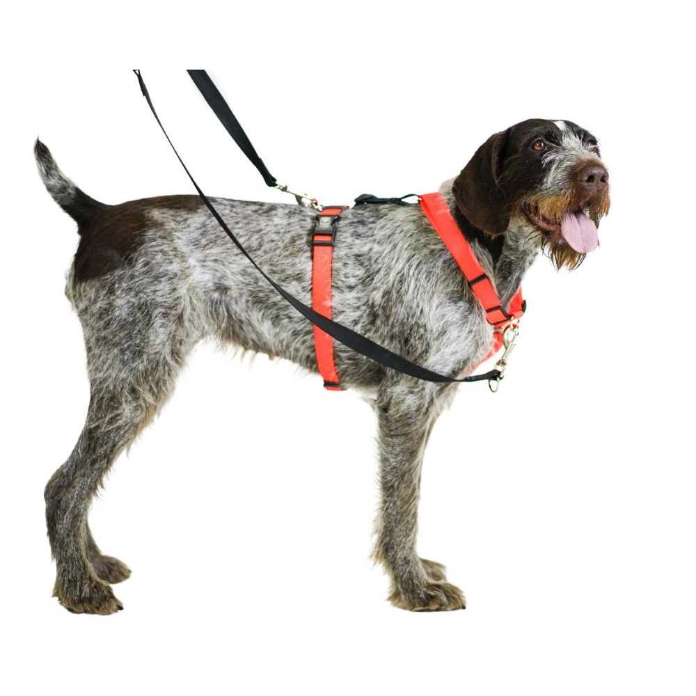 Buckle-Neck No-Pull Dog Harness E7323