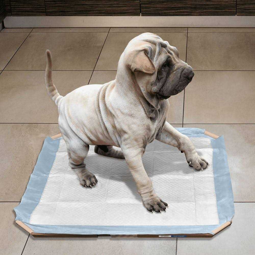 Dog Pad Holder Portable Tray C33088