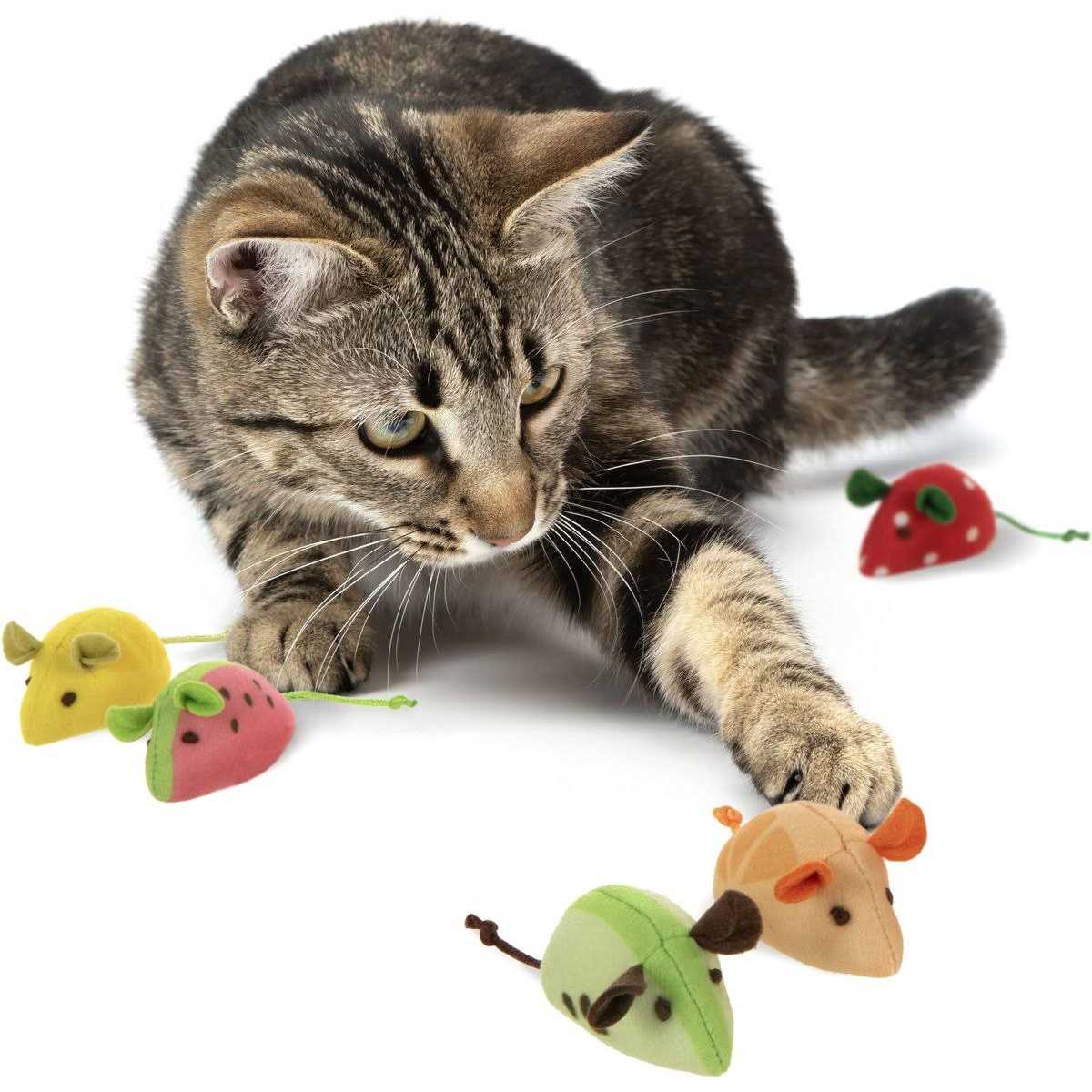 Cat Toy N831