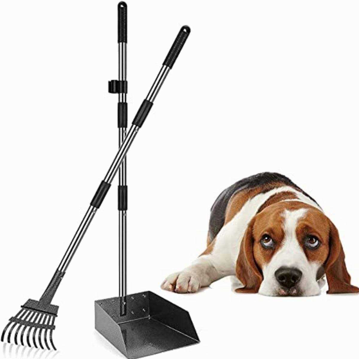 Durable Dog Poop Scoop Long Handle Tray and Rake Set S1737