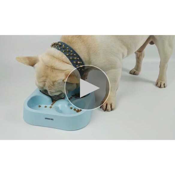 Slow Feeding Dog Bowl Y302337