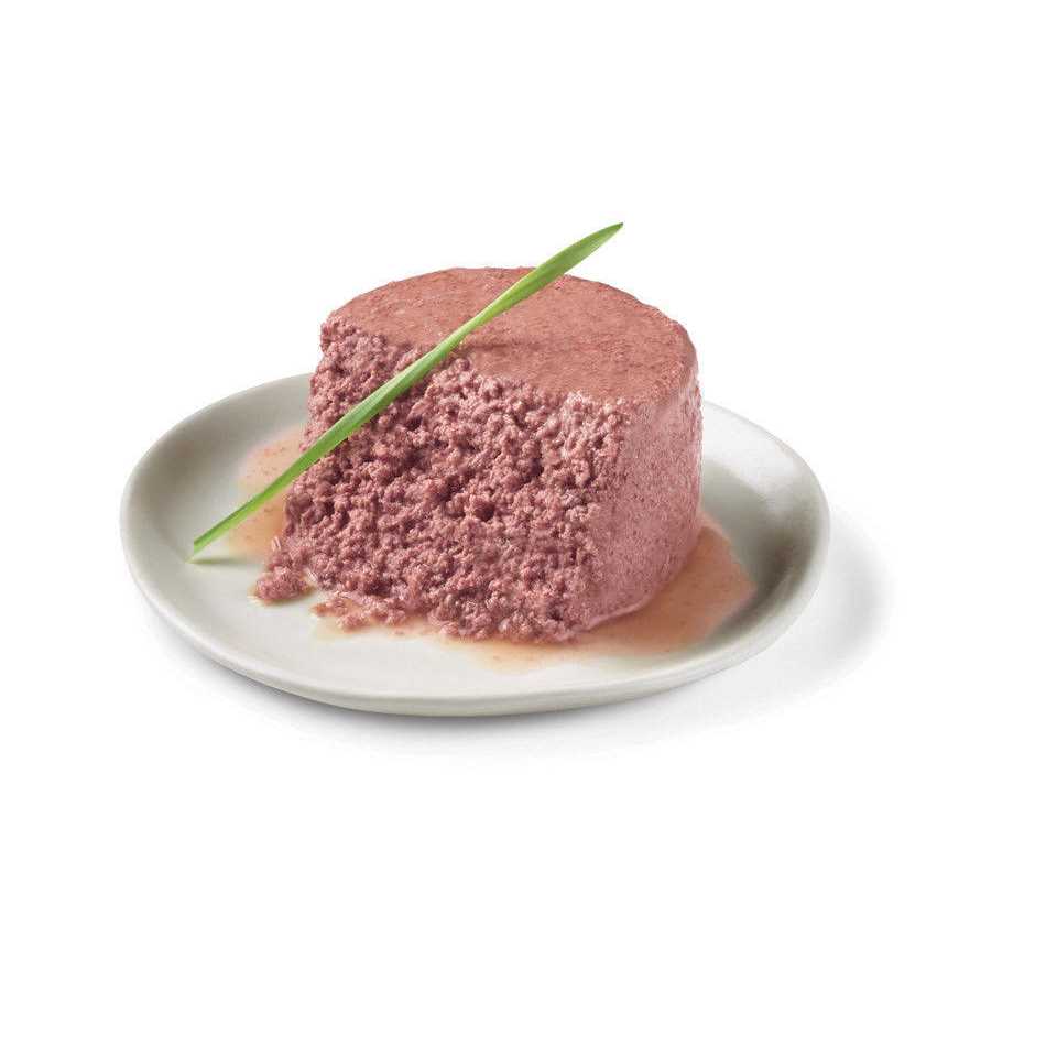 Salmon Pate Wet Cat Food G695