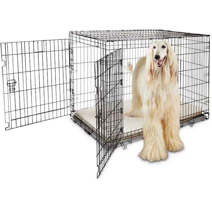 2-Door Folding Dog Crate H405771