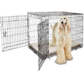 2-Door Folding Dog Crate H405771