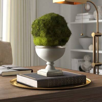 Preserved Moss Topiary in Urn Dark Gray/Silver W86652