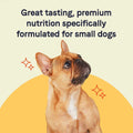 Salmon Small Breed Puppy Dry Dog Food S808
