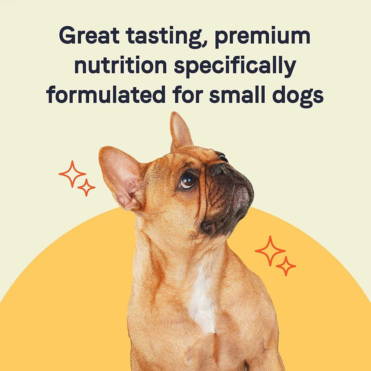 Salmon Small Breed Puppy Dry Dog Food S808