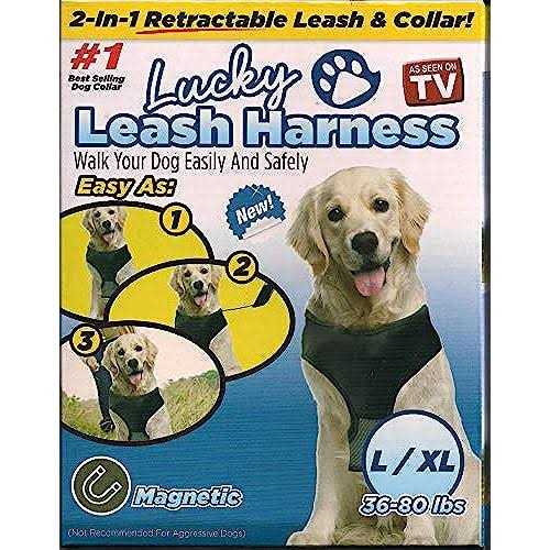 Magnetic Harness & Retractable Leash M729824