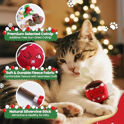 5 PCS Catnip Cat Chew Toys with Silvervine Sticks H638