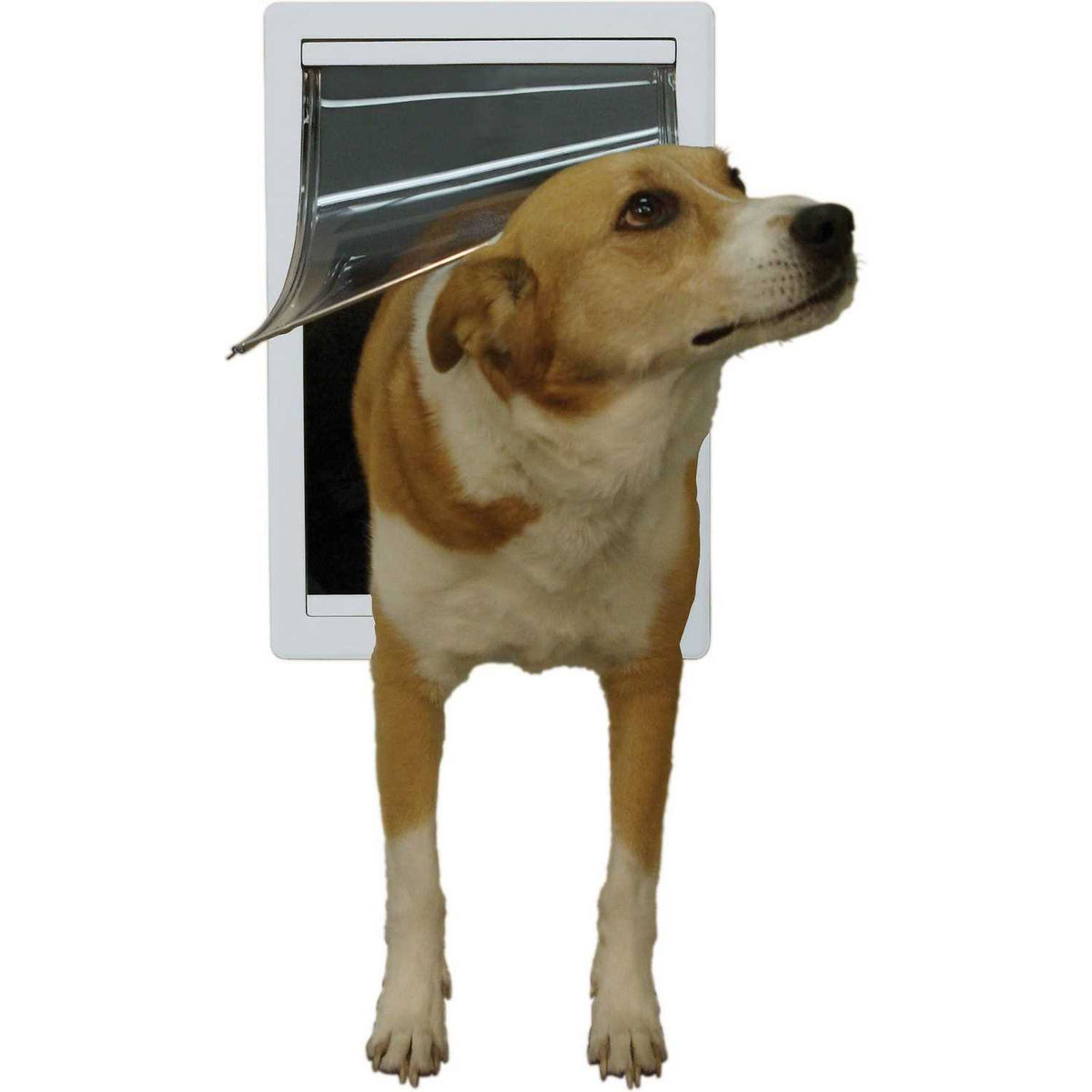Plastic Pet Door J31803