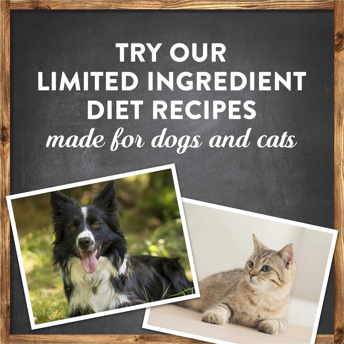 Grain Free Lamb Sweet Potato Recipe Dry Dog Food C339246