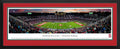 Framed Panoramic V767
