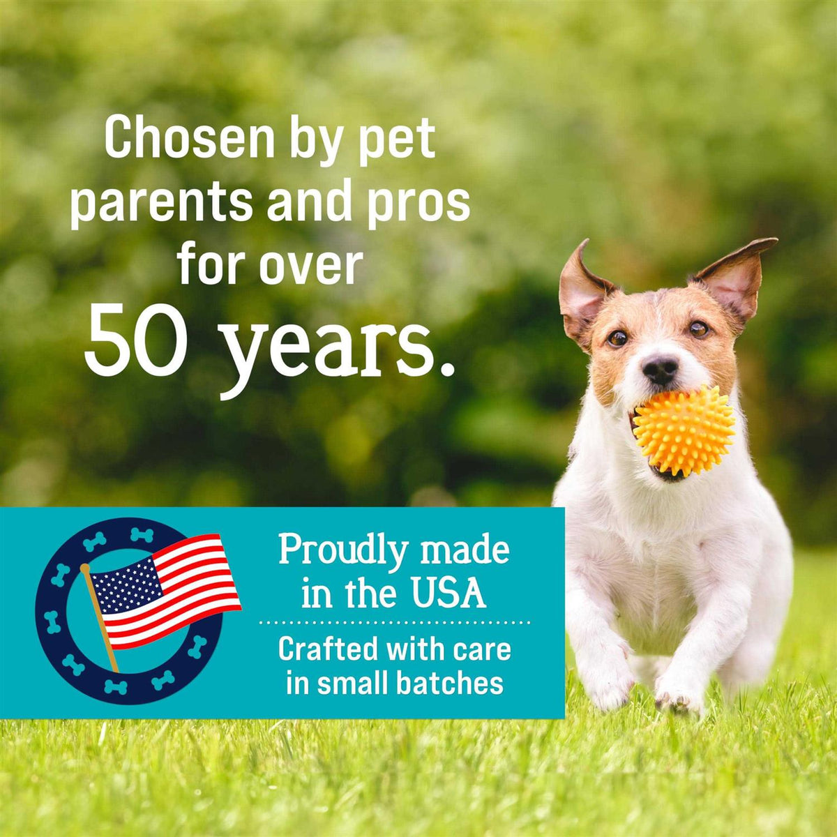 Freeze-Dried Chicken Liver Dog Treats I955