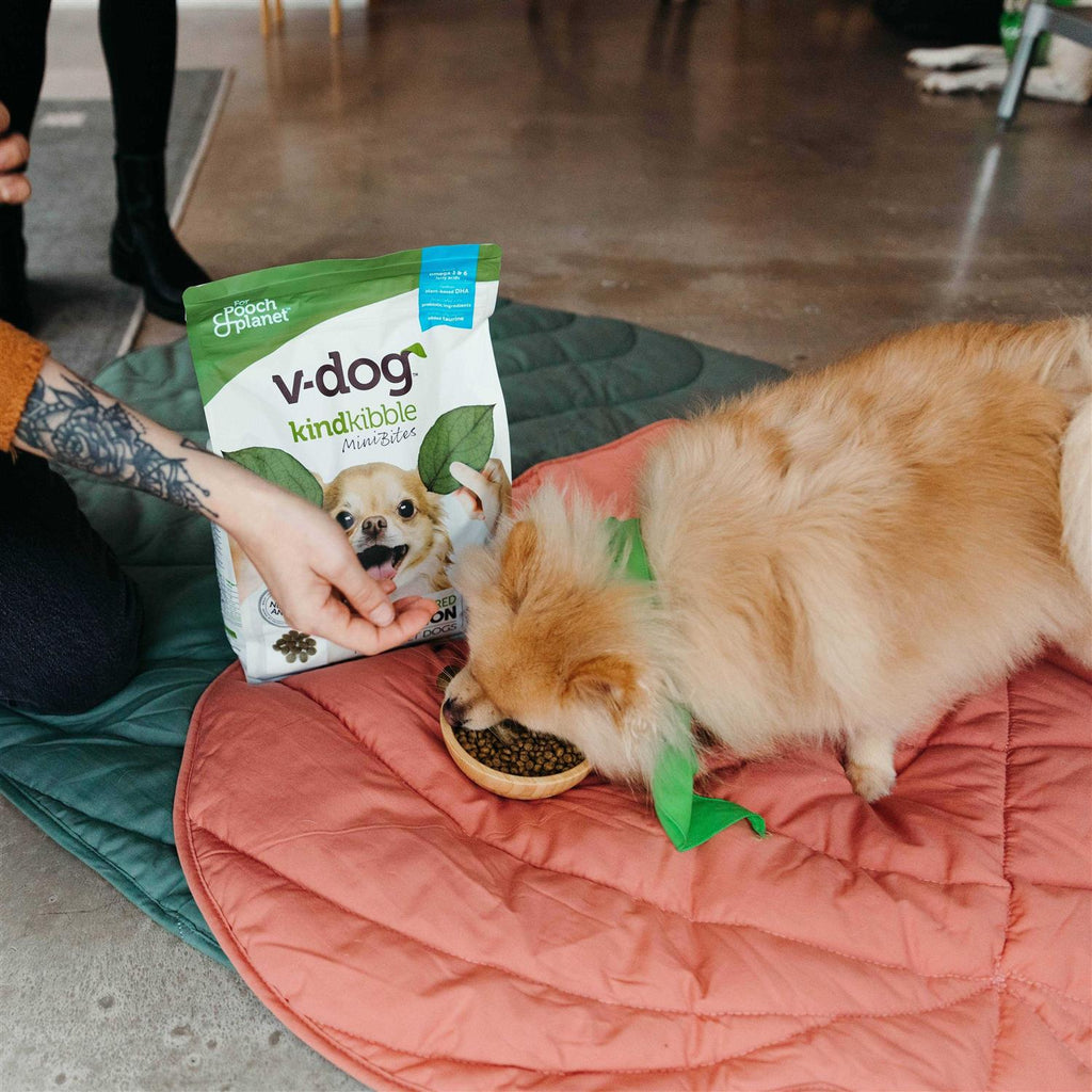 Vegan Dry Dog Food I400