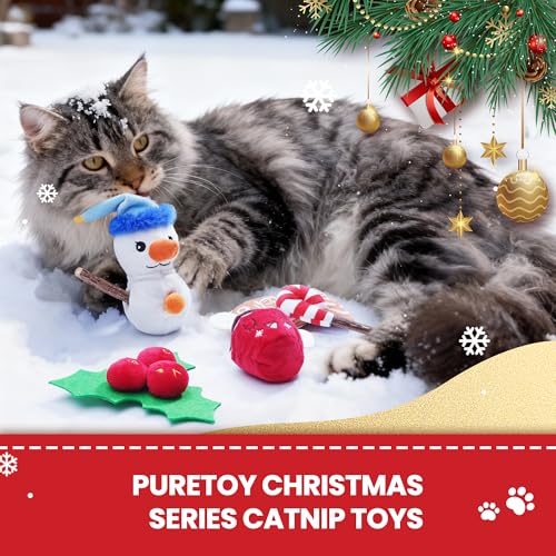 5 PCS Catnip Cat Chew Toys with Silvervine Sticks H638