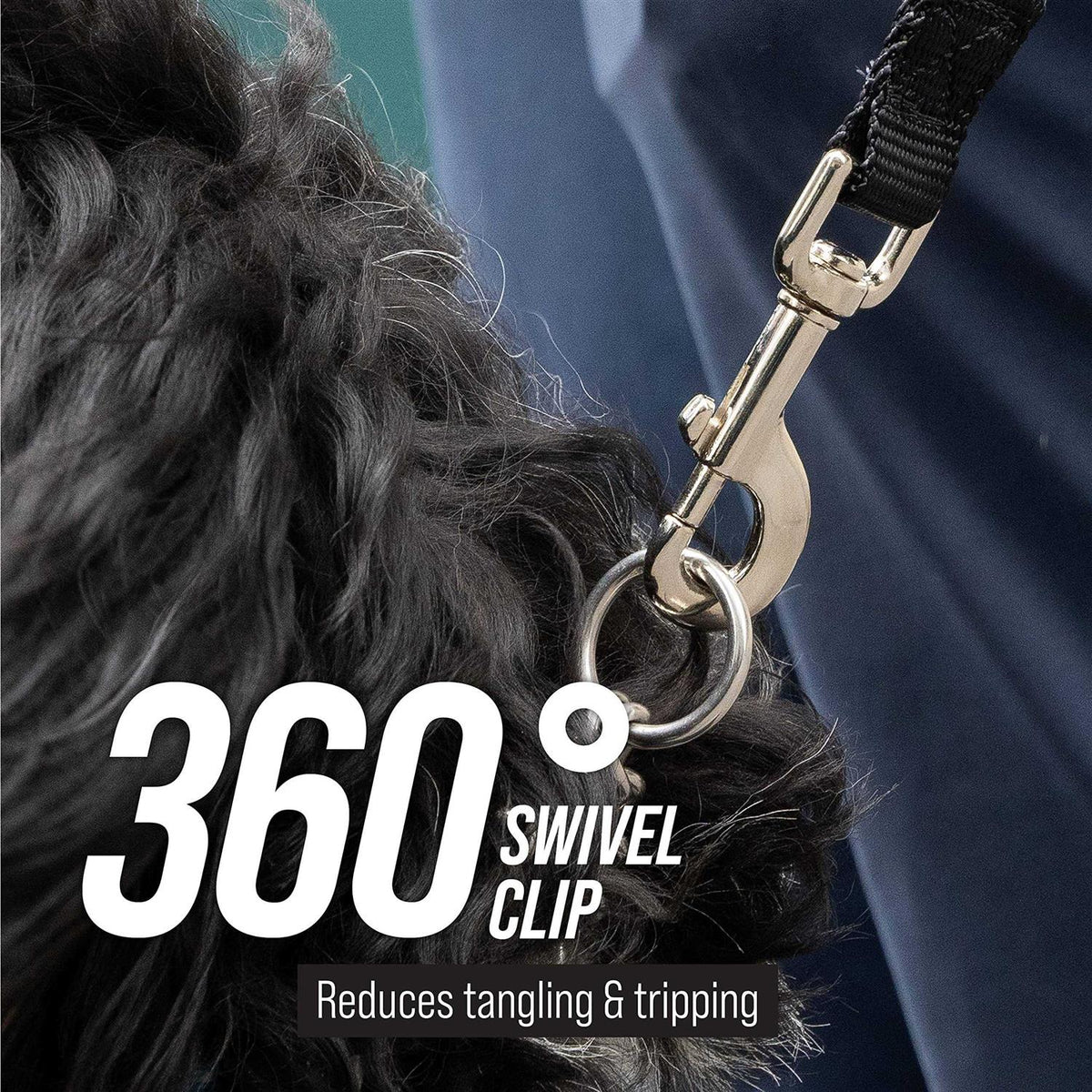 Dog Leash E81057