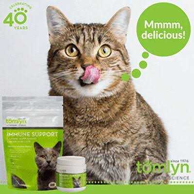 L-Lysine Chews for Cats Y90945