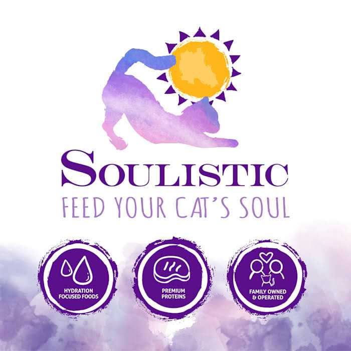 Pureed Pumpkin Food Supplement for Cats & Dogs V833