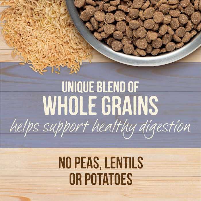 Healthy Grains Freeze Dried Raw Coated Dry Dog Food Puppy Recipe K9554