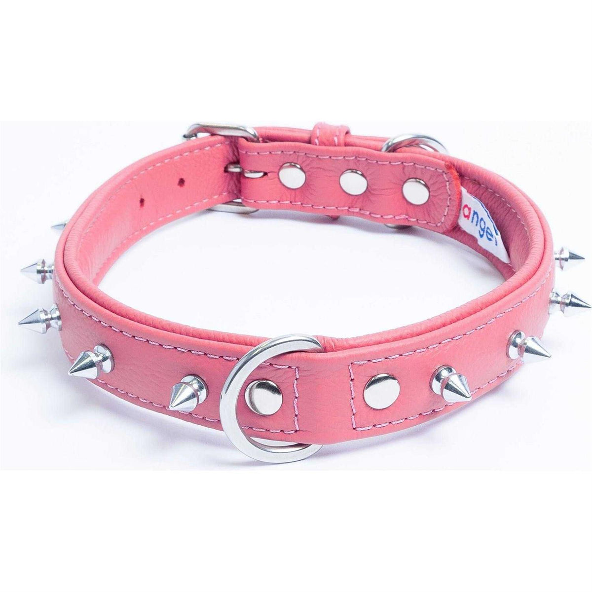 Dog Collar I949