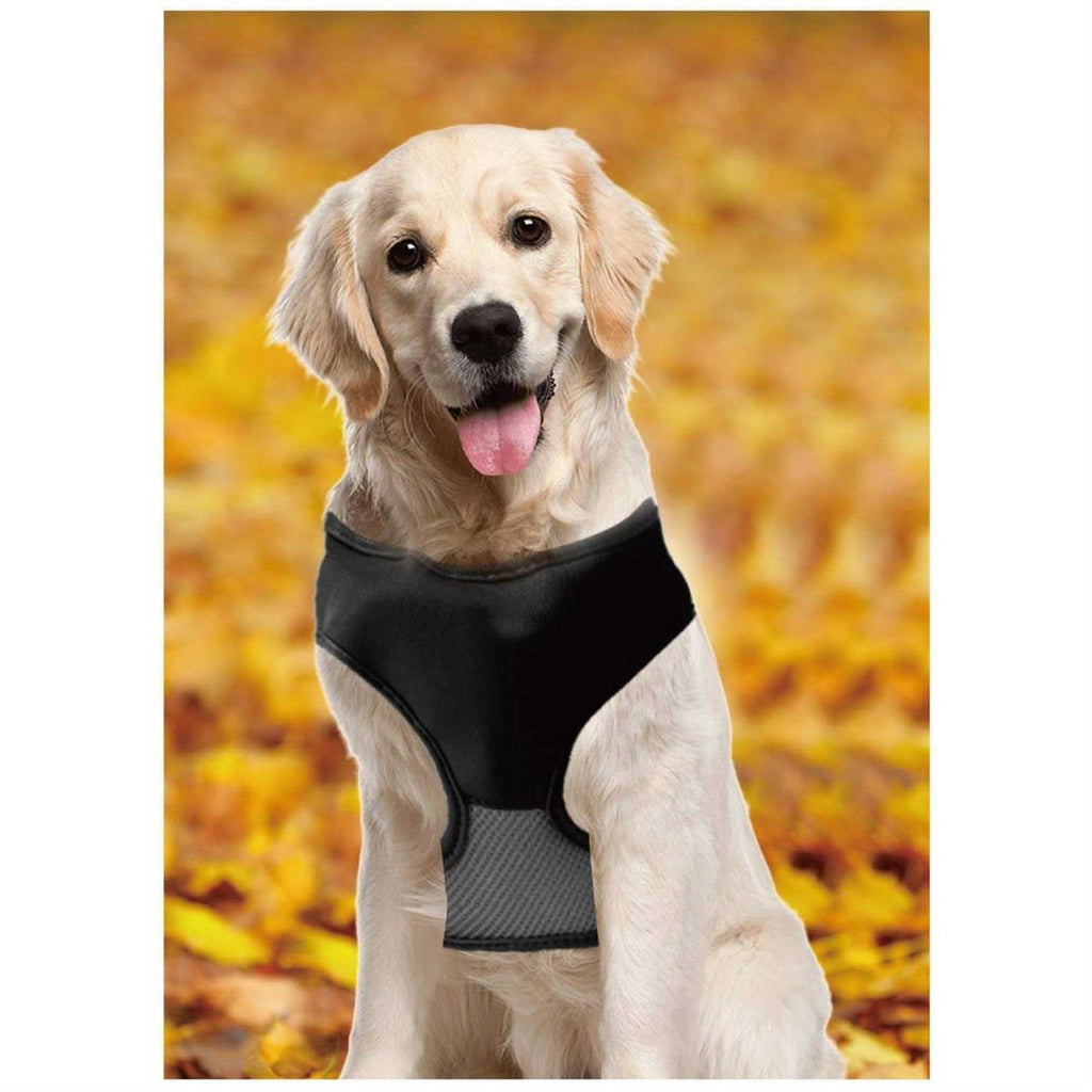 Magnetic Harness & Retractable Leash M729824