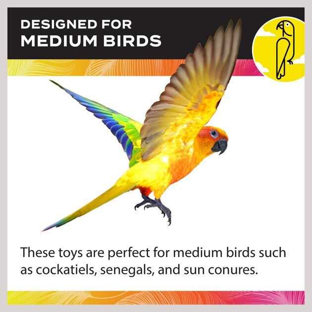 Cockatiel Ladder X8188