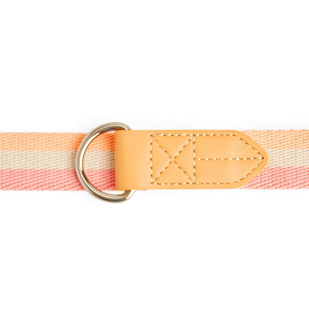 Dog Leash Y9423