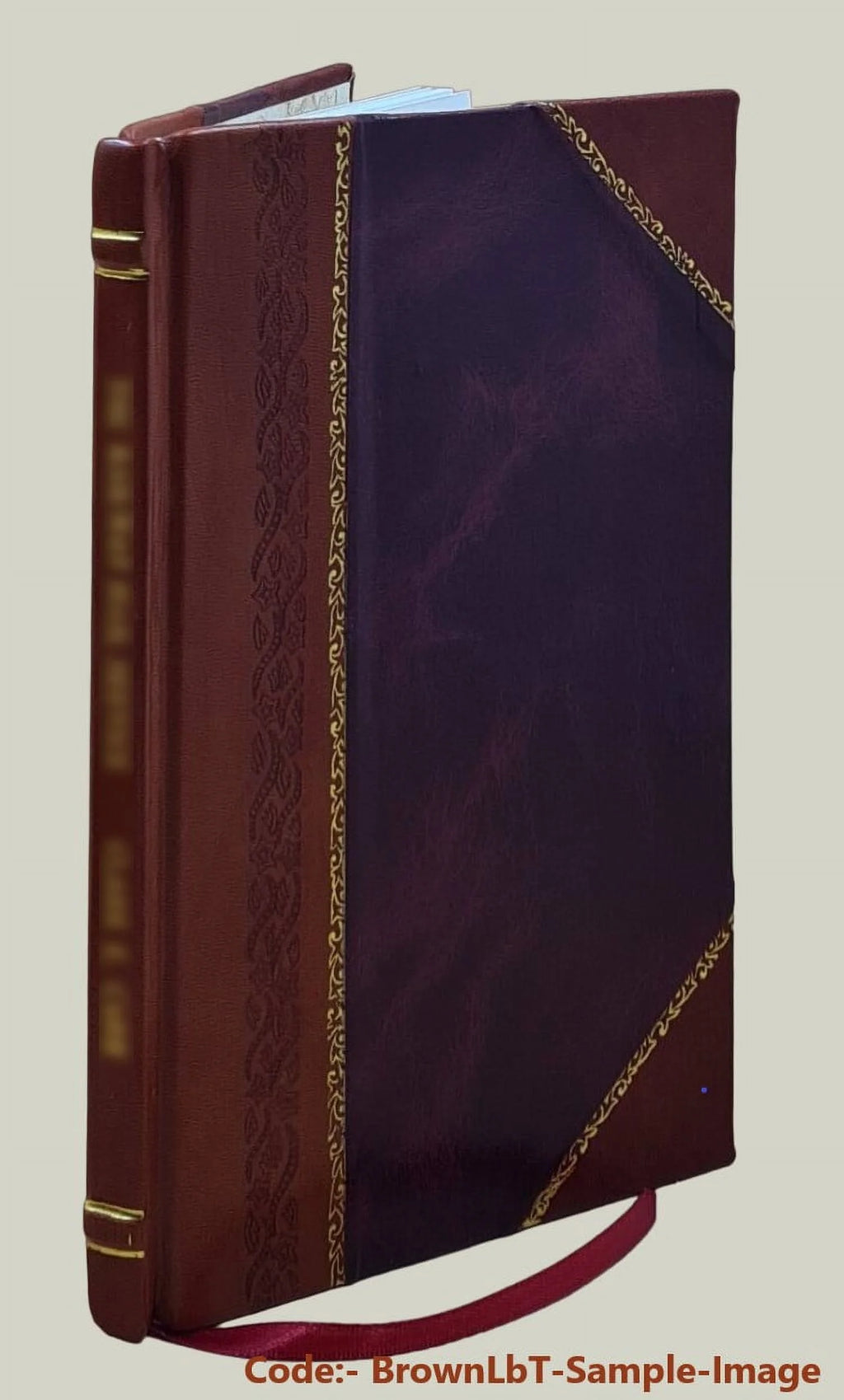 Christianity Faith and Practice Leather Bound C394