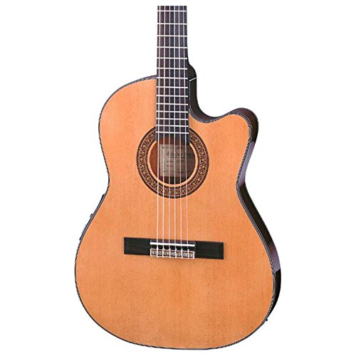Classical Acoustic-Electric Guitar J9138
