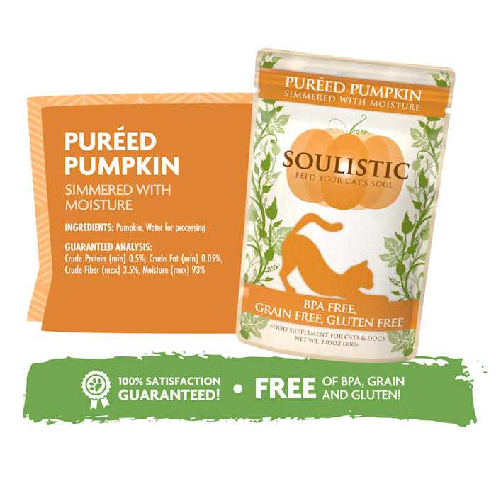 Pureed Pumpkin Food Supplement for Cats & Dogs V833