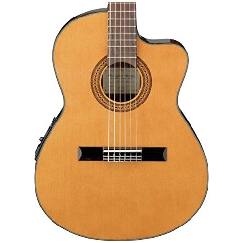 Classical Acoustic-Electric Guitar J9138