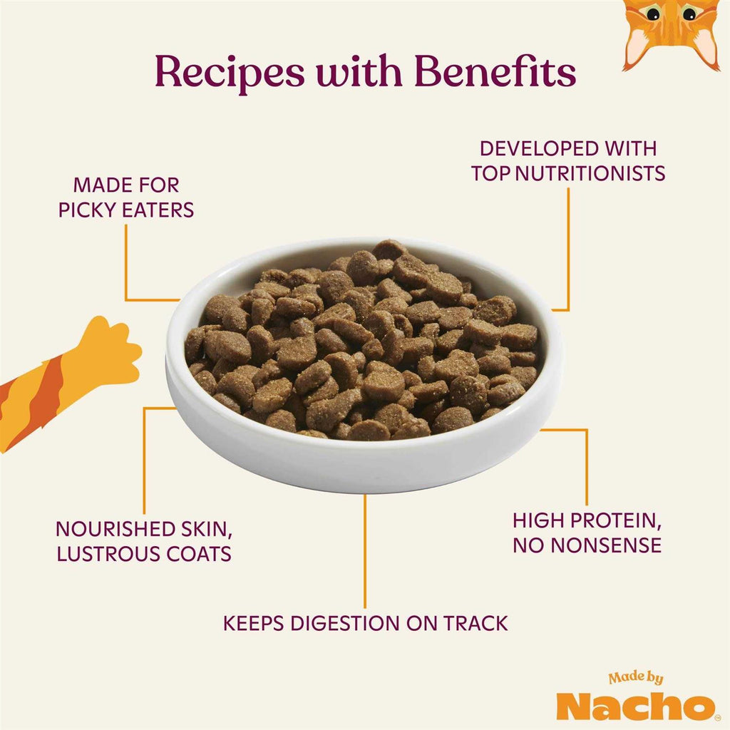 Salmon & Pumpkin Recipe Dry Cat Food N65956